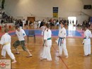 Tadashii Kupa