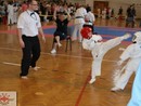 Tadashii Kupa