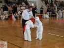 Tadashii Kupa