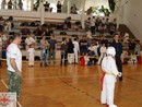 Tadashii Kupa