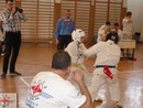 Tadashii Kupa