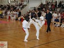 Tadashii Kupa
