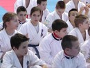 VIII. Zemplén Kupa