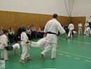 Bemutató edzés