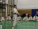 Bemutató edzés