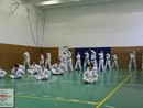 Összevont edzés a Seishin Dojóban
