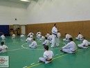 Összevont edzés a Seishin Dojóban