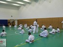 Összevont edzés a Seishin Dojóban