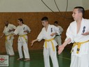 Összevont edzés a Seishin Dojóban