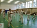 Összevont edzés a Seishin Dojóban