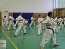 Összevont edzés a Seishin Dojóban