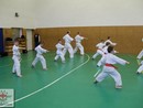 Összevont edzés a Seishin Dojóban
