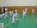 Összevont edzés a Seishin Dojóban