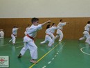 Összevont edzés a Seishin Dojóban
