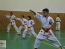 Összevont edzés a Seishin Dojóban