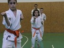Összevont edzés a Seishin Dojóban