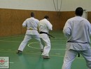 Összevont edzés a Seishin Dojóban