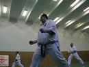 Összevont edzés a Seishin Dojóban