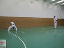 Összevont edzés a Seishin Dojóban