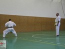 Összevont edzés a Seishin Dojóban