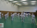 Összevont edzés a Seishin Dojóban