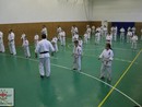 Összevont edzés a Seishin Dojóban