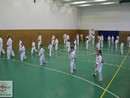 Összevont edzés a Seishin Dojóban