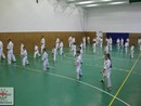 Összevont edzés a Seishin Dojóban