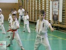 Összevont edzés a Seishin Dojóban