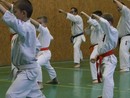 Összevont edzés a Seishin Dojóban