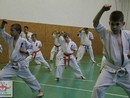 Összevont edzés a Seishin Dojóban
