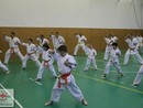 Összevont edzés a Seishin Dojóban