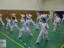 Összevont edzés a Seishin Dojóban