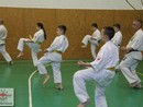 Összevont edzés a Seishin Dojóban