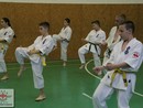 Összevont edzés a Seishin Dojóban
