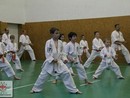 Összevont edzés a Seishin Dojóban