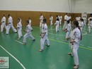 Összevont edzés a Seishin Dojóban