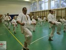 Összevont edzés a Seishin Dojóban