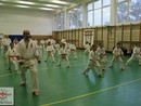 Összevont edzés a Seishin Dojóban