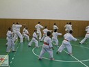 Összevont edzés a Seishin Dojóban