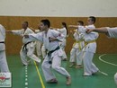 Összevont edzés a Seishin Dojóban