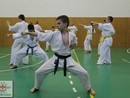 Összevont edzés a Seishin Dojóban