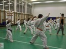 Sensei Tóth László 4. Dan Shobukai Karate mester tréningje a Seishin Dojóban