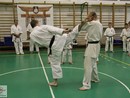 Sensei Tóth László 4. Dan Shobukai Karate mester tréningje a Seishin Dojóban