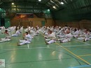 IBK-IBKHF Summer Camp