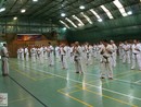 IBK-IBKHF Summer Camp
