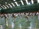 IBK-IBKHF Summer Camp
