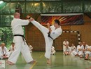 IBK-IBKHF Summer Camp
