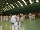 IBK-IBKHF Summer Camp