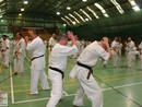 IBK-IBKHF Summer Camp